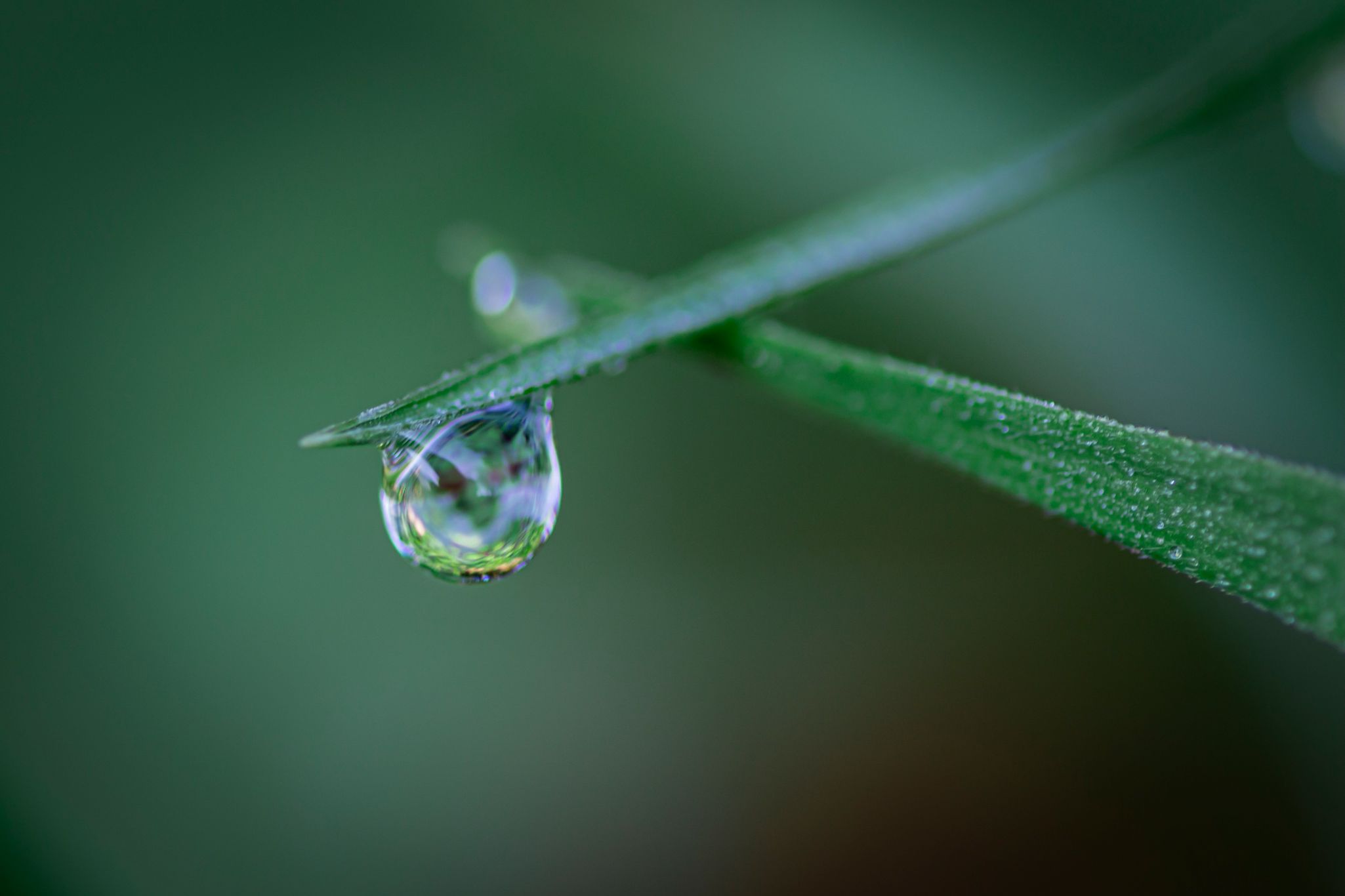 B gota de agua